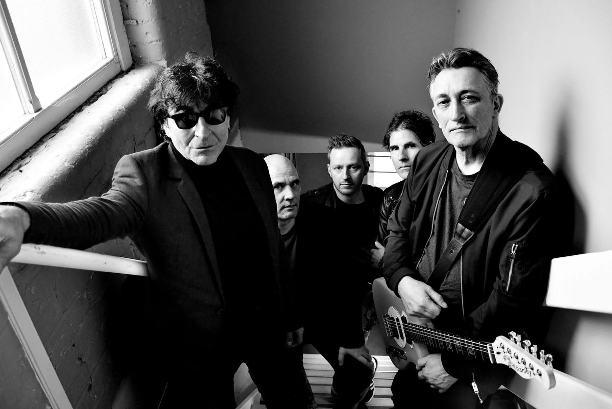 The Chameleons 2